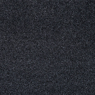 Midnight Louisiana Saxony Carpet