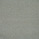 Wilton Royal Charter Berber Deluxe Carpet by Abingdon