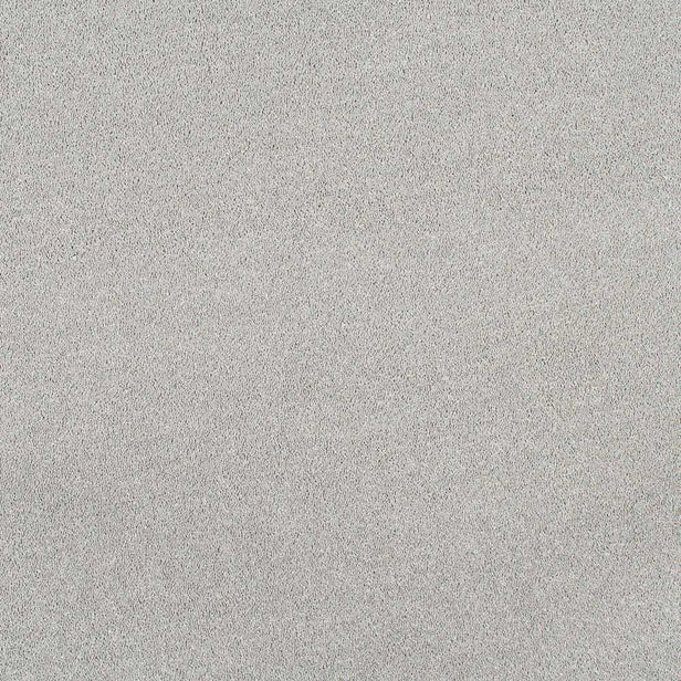 Mist Velvet Dreams Love Story Carpet by Abingdon