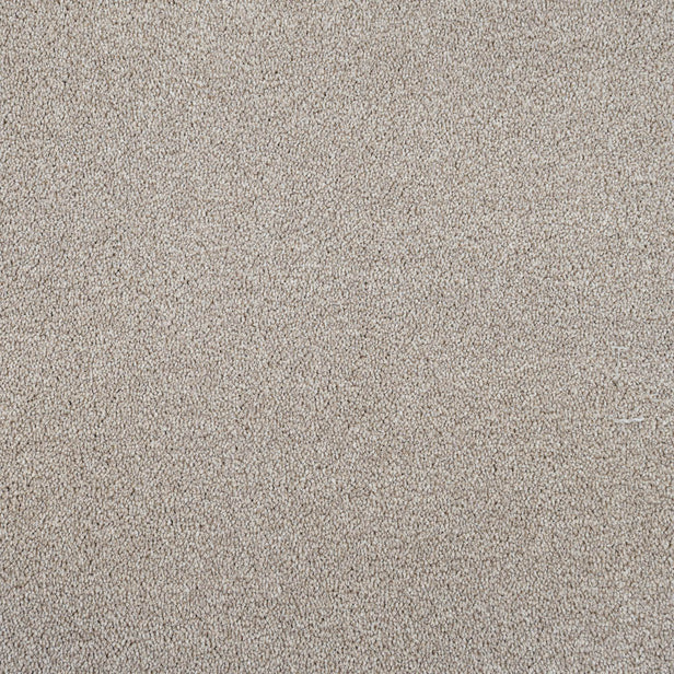 Mistflower 32 Cassius 70oz Invictus Carpet