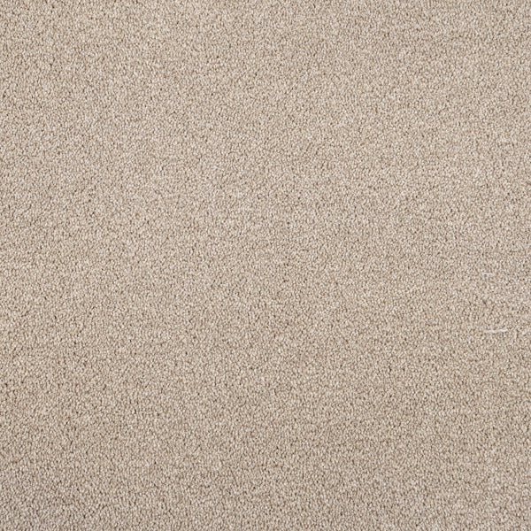 Cassius 70oz Invictus Carpet Buy Associated Weavers Invictus Carpets