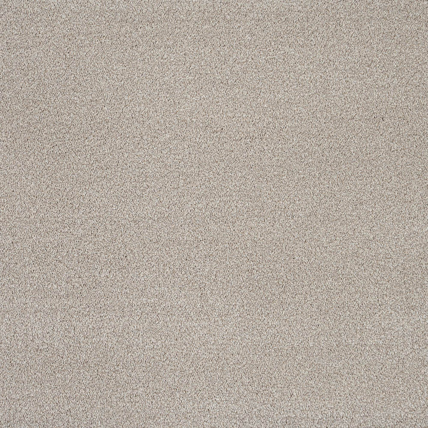 Mistflower 32 Darius 50oz Invictus Carpet