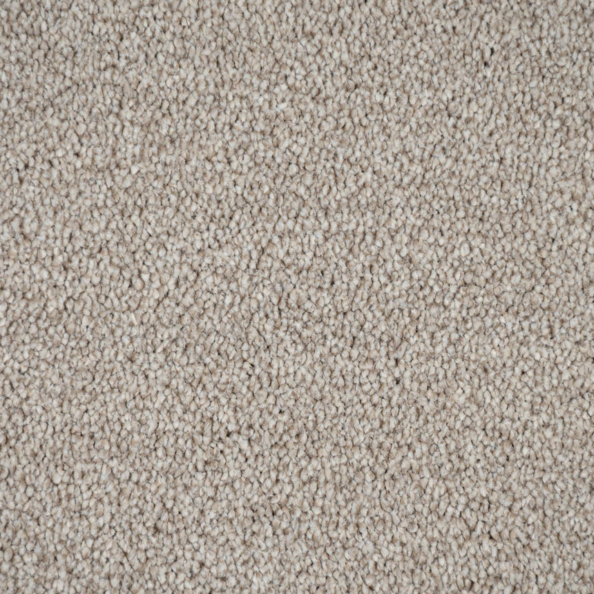 Mistflower 32 Darius 50oz Invictus Carpet