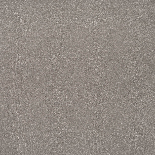 Mocha Stainfree Caress Carpet by Abingdon