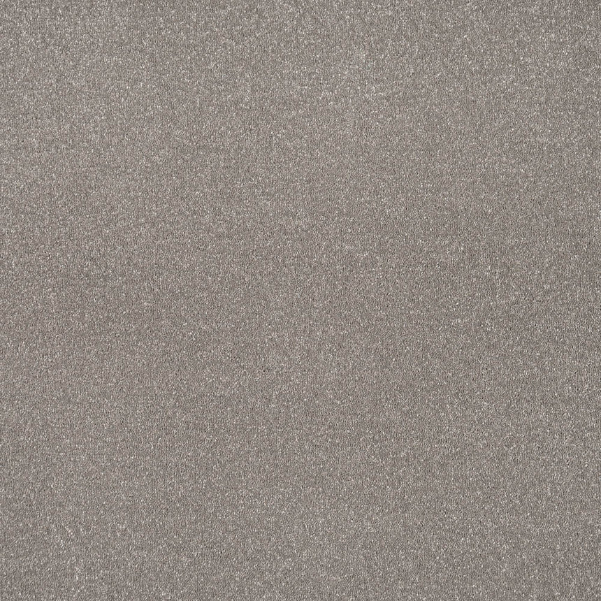 Mocha Stainfree Caress Carpet by Abingdon