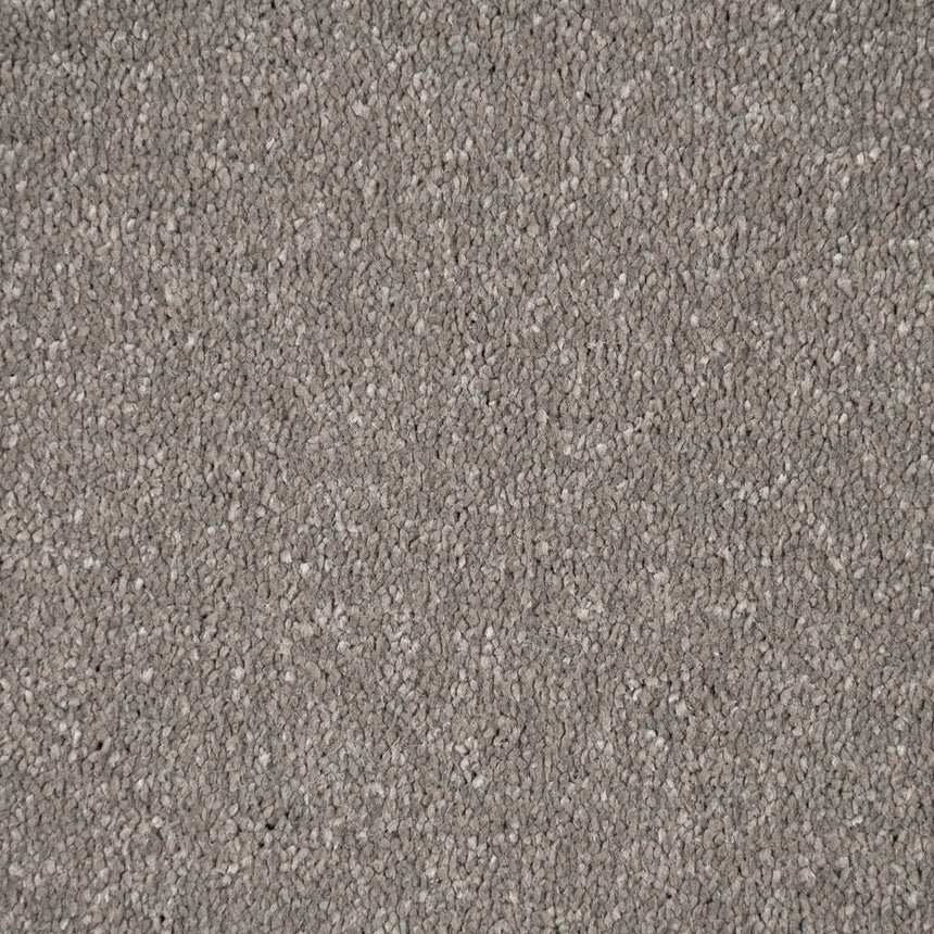 Mocha Stainfree Caress Carpet by Abingdon