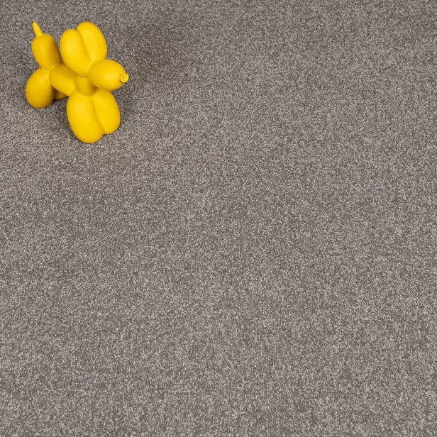 Mocha Stainfree Caress Carpet by Abingdon