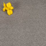 Mocha Stainfree Caress Carpet by Abingdon