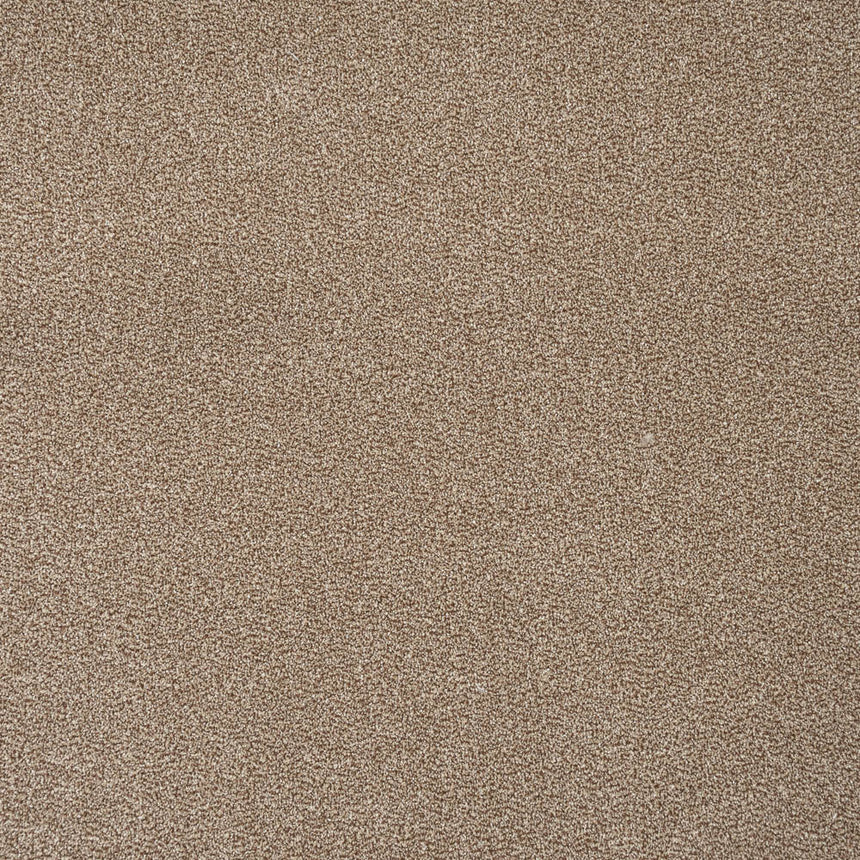 Moleskin 15 Stainfree Tweed Carpet by Abingdon