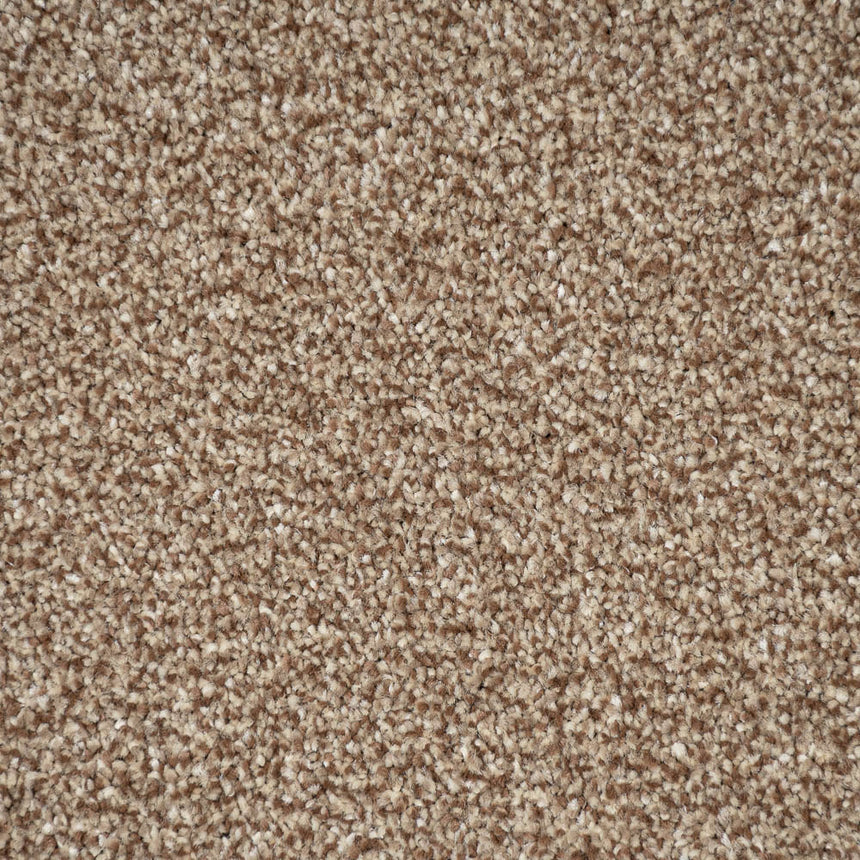 Moleskin 15 Stainfree Tweed Carpet by Abingdon