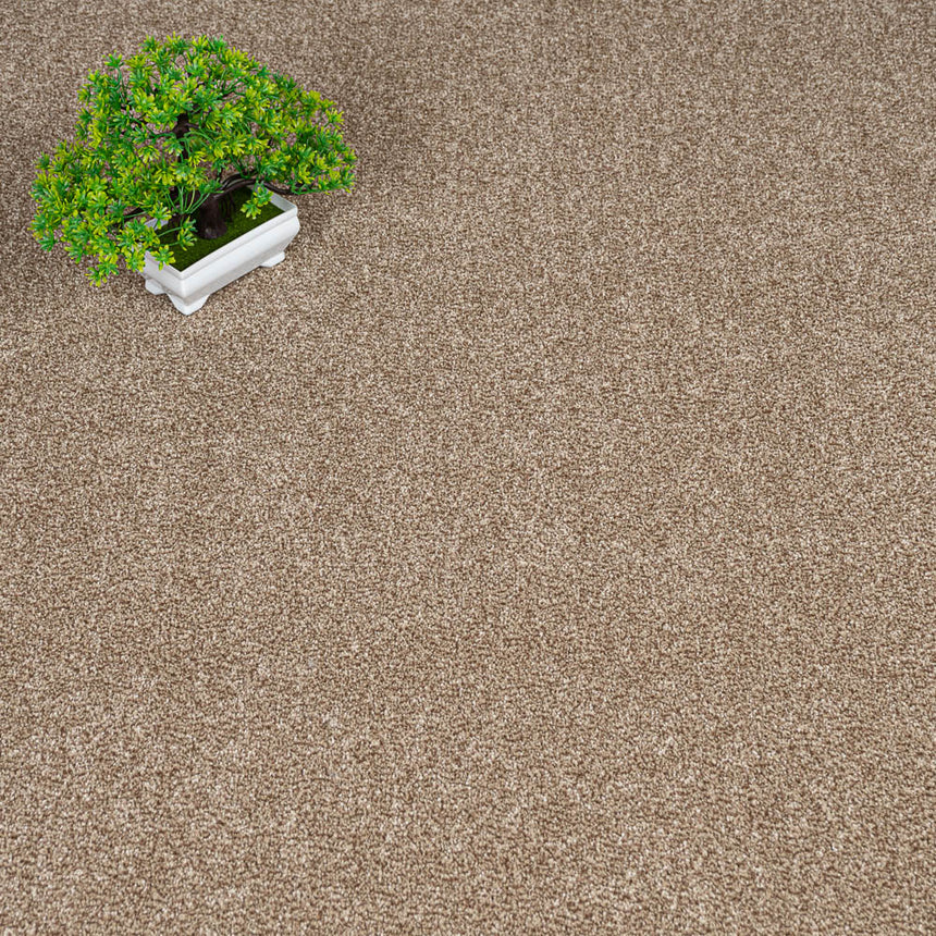 Moleskin 15 Stainfree Tweed Carpet by Abingdon