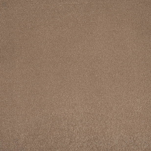 Moleskin 40 Aries Invictus Carpet