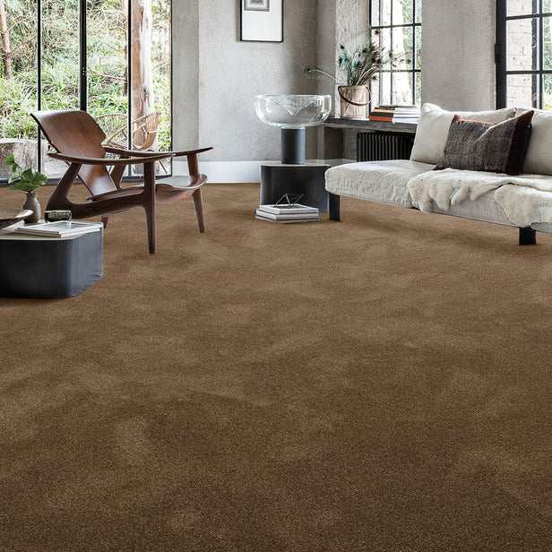 Moleskin 40 Aries Invictus Carpet