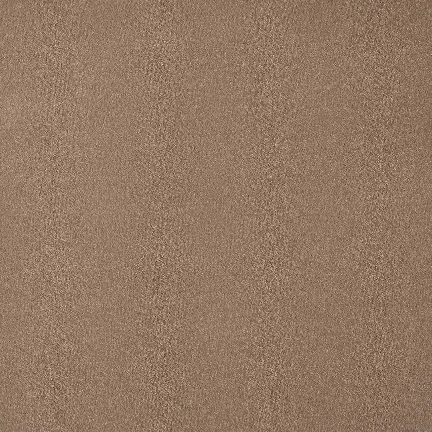 Moleskin 40 Taurus Invictus Carpet