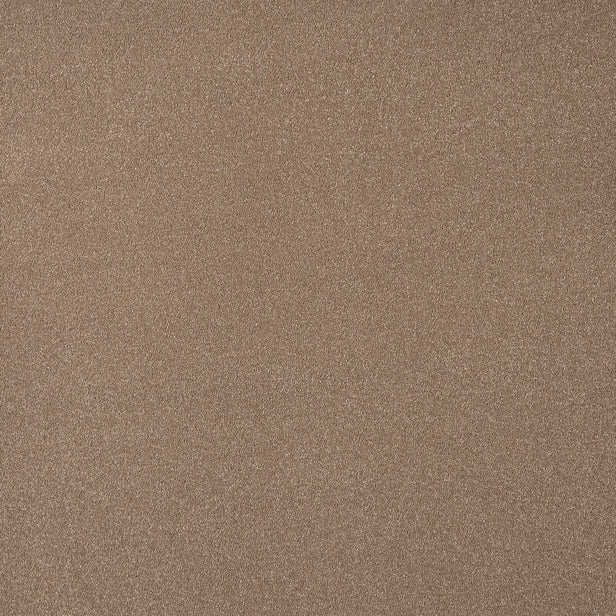 Moleskin 40 Taurus Invictus Carpet