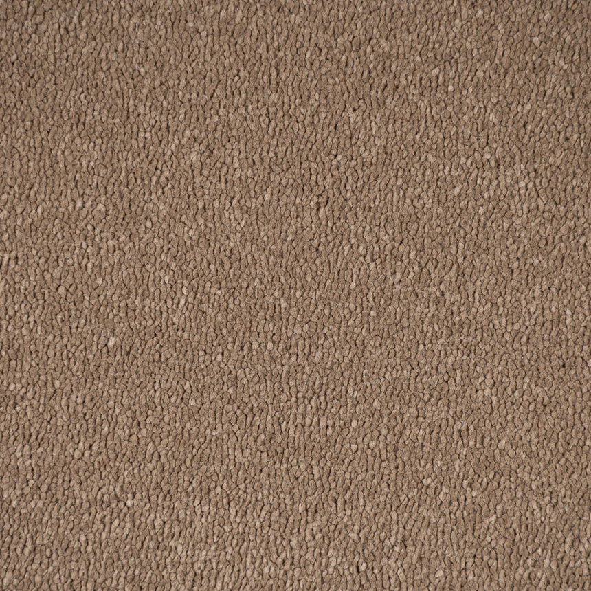 Moleskin 40 Taurus Invictus Carpet