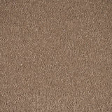 Moleskin 40 Taurus Invictus Carpet