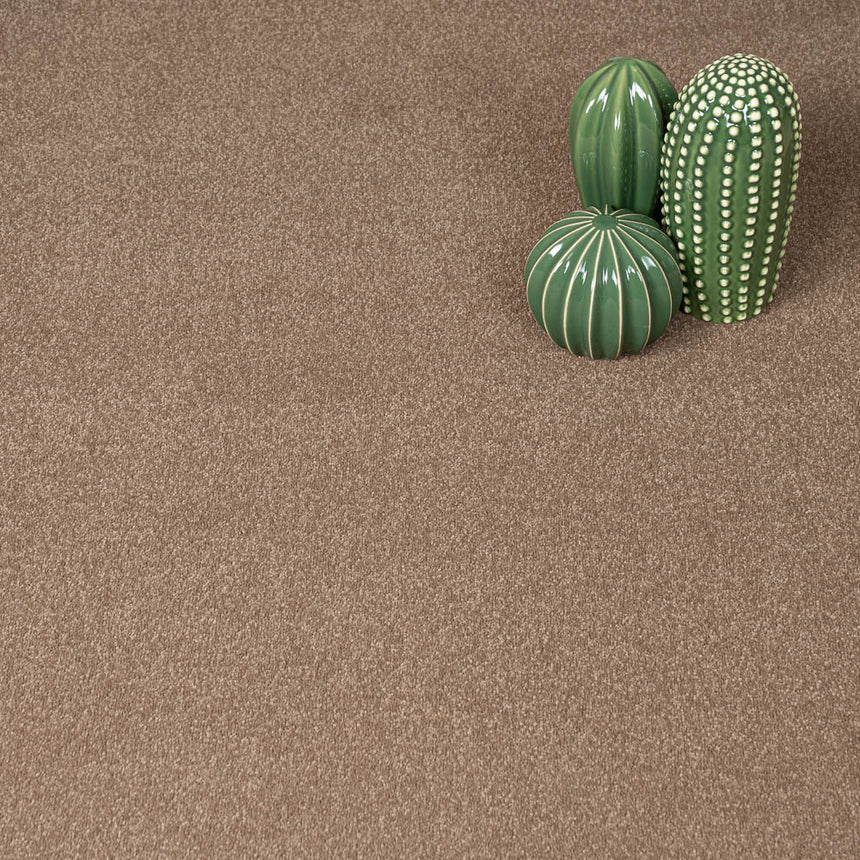 Moleskin 40 Taurus Invictus Carpet