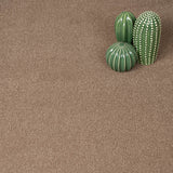 Moleskin 40 Taurus Invictus Carpet