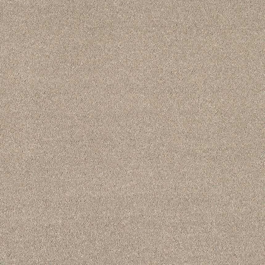 Mouseback Velvet Dreams Love Story Carpet by Abingdon