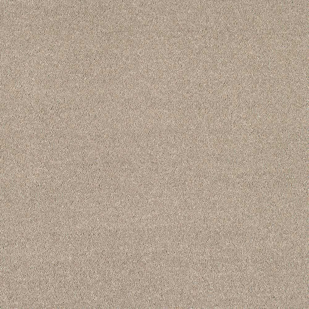 Mouseback Velvet Dreams Love Story Carpet by Abingdon