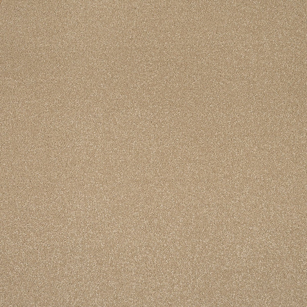 Muscovado Primo Plus Carpet by Cormar