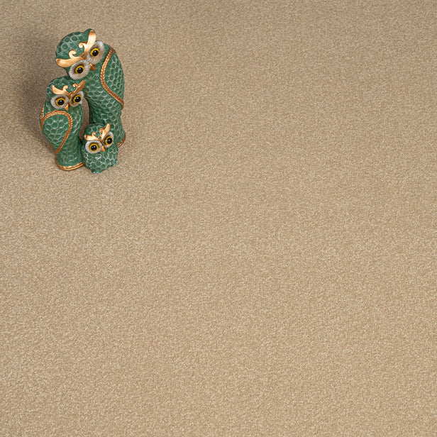 Muscovado Primo Plus Carpet by Cormar