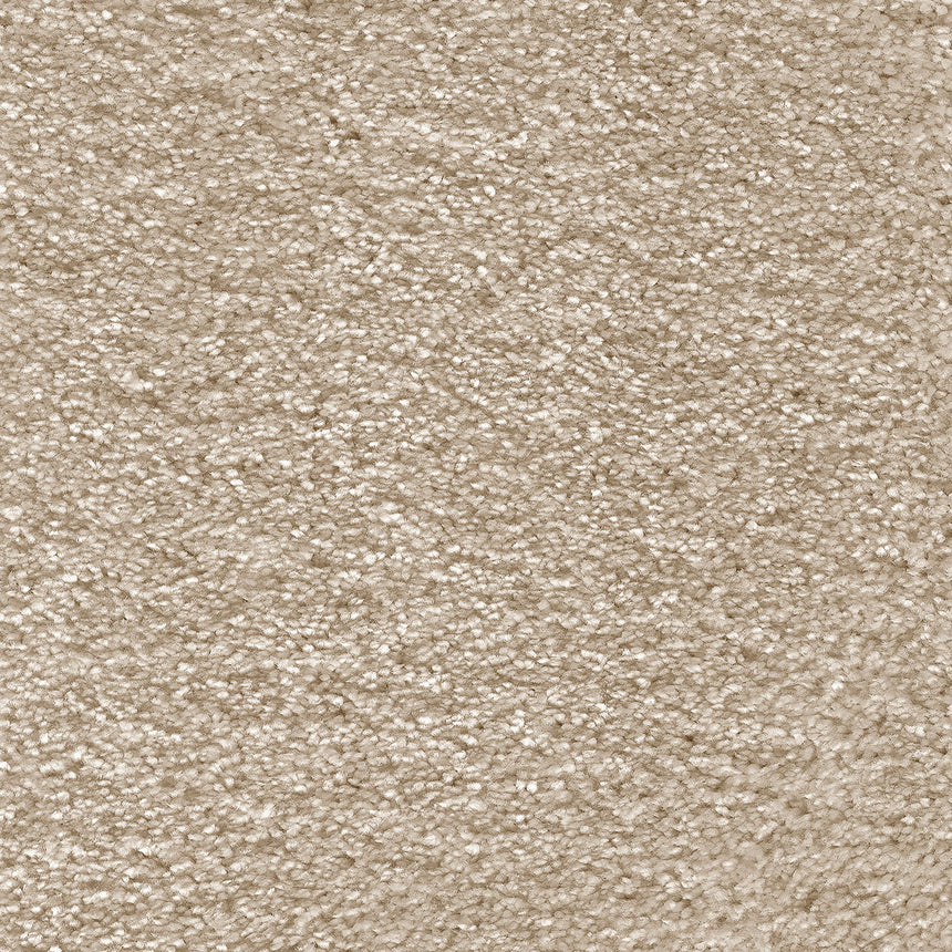 Mushroom 33 Aurelius Invictus Carpet