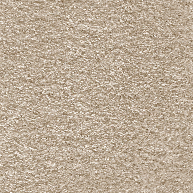 Mushroom 33 Aurelius Invictus Carpet