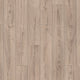 Mushroom Carpenter Oak K478