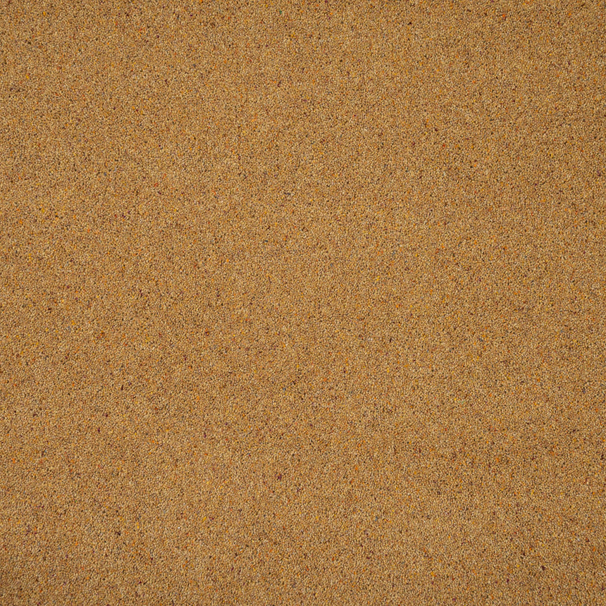 Wilton Royal Charter Berber Deluxe Carpet by Abingdon