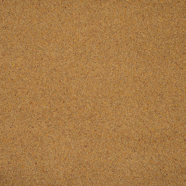 Mustard Royal Windsor Charter Berber Deluxe Carpet by Abingdon