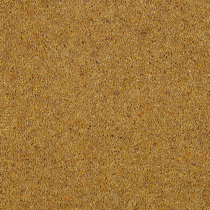 Royal Windsor Charter Berber Deluxe Carpet by Abingdon