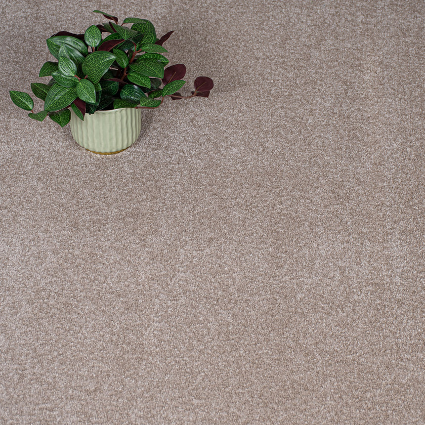 Natural Beige Haven Saxony Premium Feltback Carpet
