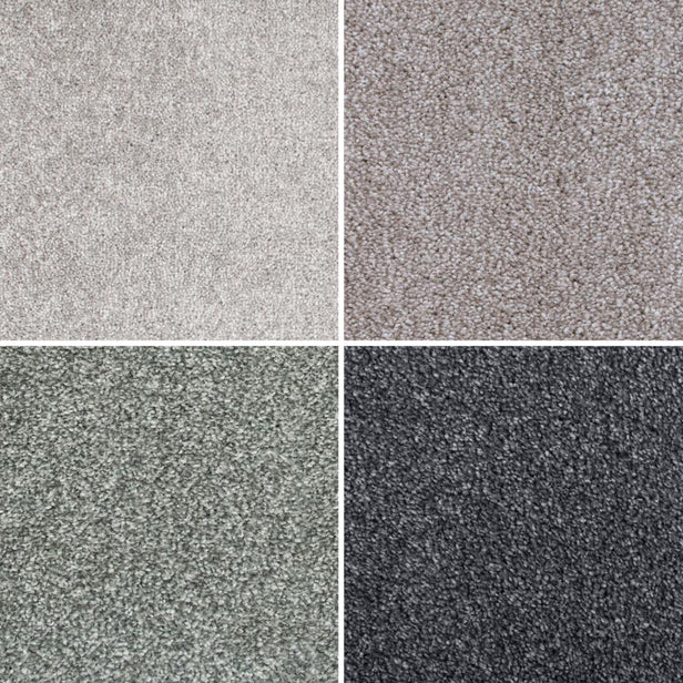 Noble Saxony Collection Carpet Clearance