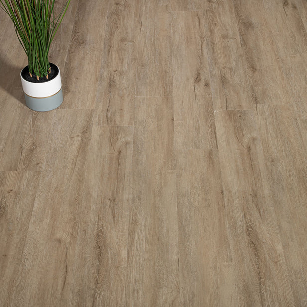Noble Oak Prestige Plank 6mm SPC Click LVT Flooring