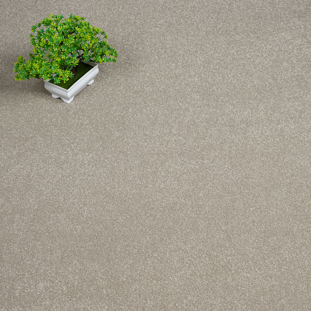 Nocciola Silken Serenity Carpet by Cormar