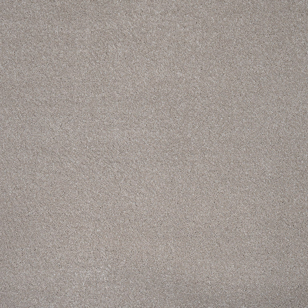 Northern Storm 36 Cassius 70oz Invictus Carpet