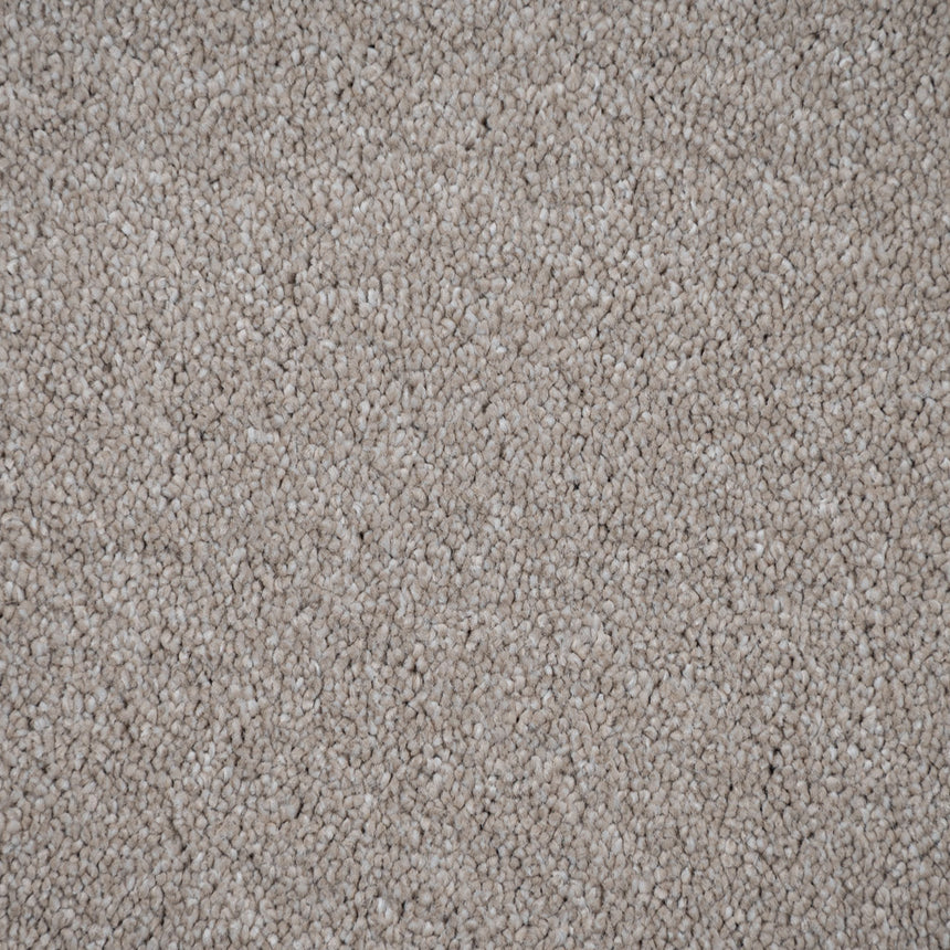 Northern Storm 36 Cassius 70oz Invictus Carpet