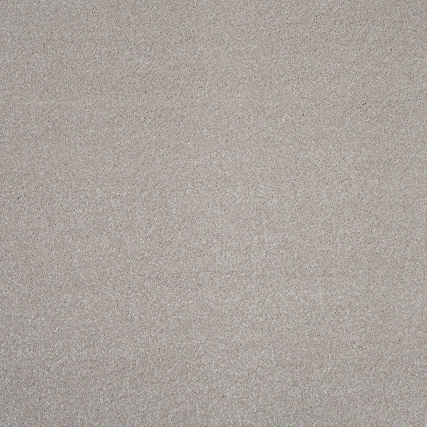 Northern Storm 36 Darius 50oz Invictus Carpet