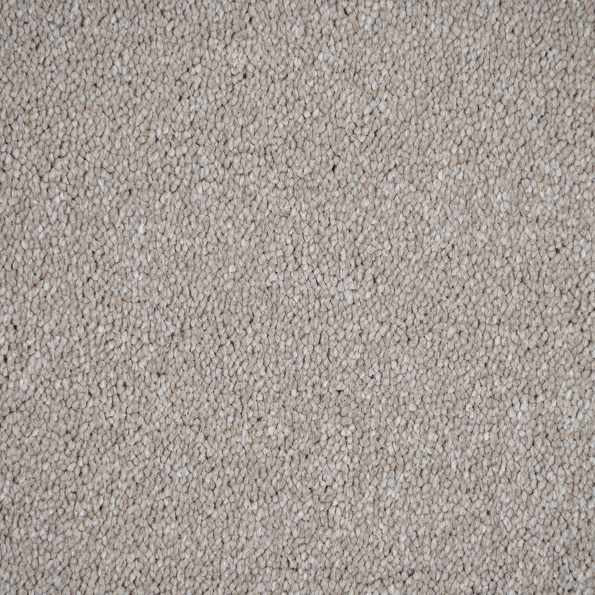 Northern Storm 36 Darius 50oz Invictus Carpet