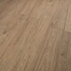 Northumberland Oak