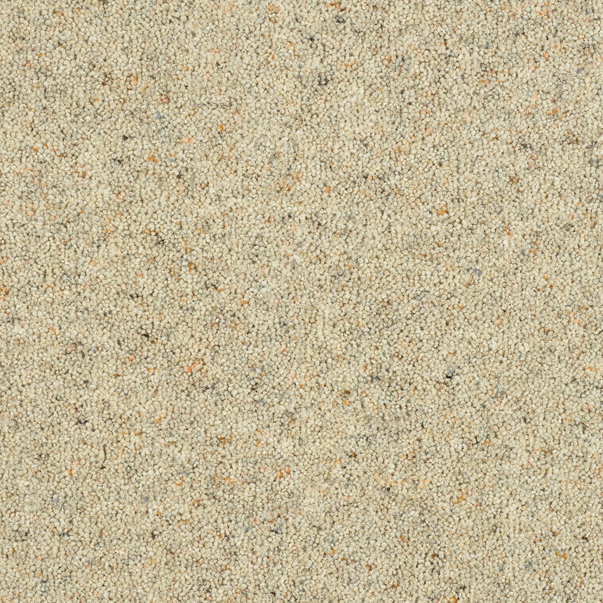Royal Windsor Charter Berber Deluxe Carpet by Abingdon
