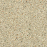 Royal Windsor Charter Berber Deluxe Carpet by Abingdon