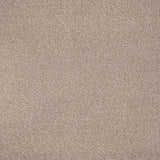 Oak Beige 830