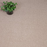 Oat Beige Highgrove Twist Carpet