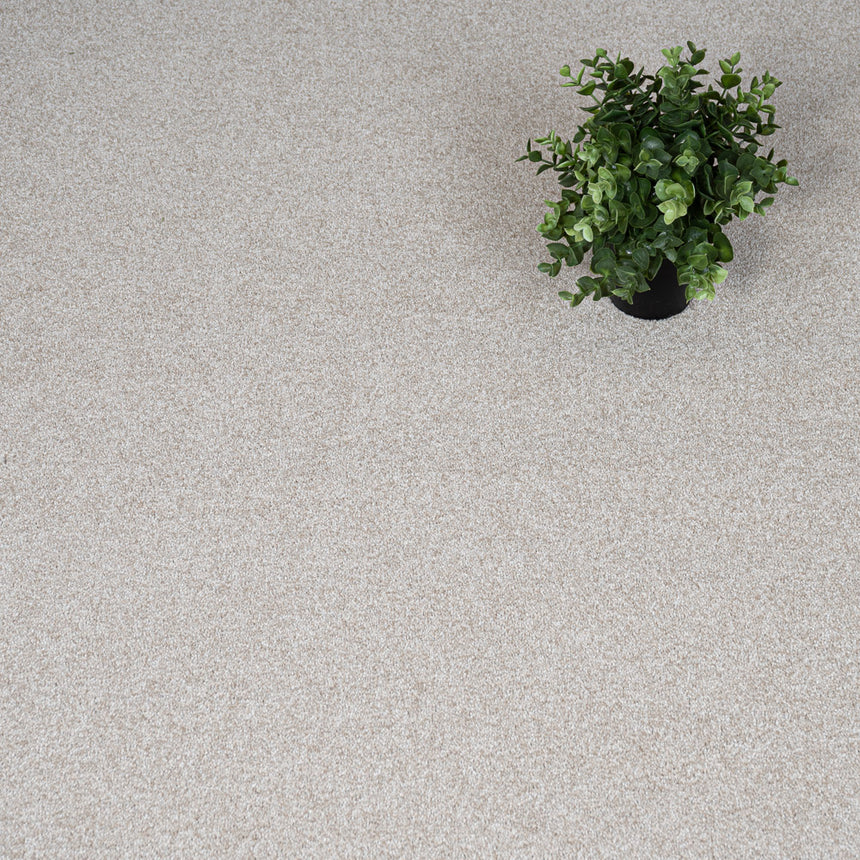 Oatmeal 04 Darius 50oz Invictus Carpet