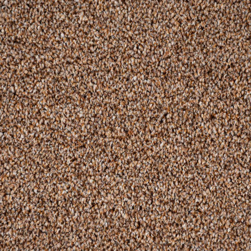 Okra 38 Cassius 70oz Invictus Carpet