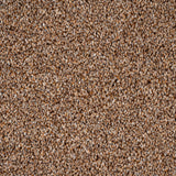 Okra 38 Cassius 70oz Invictus Carpet