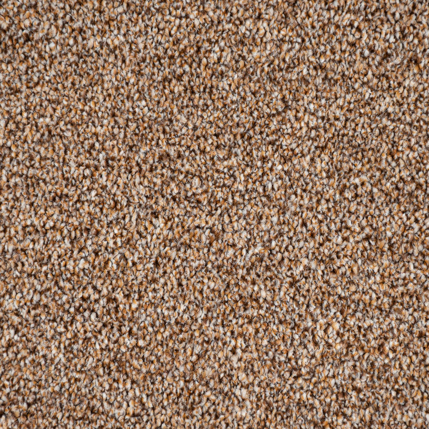 Okra 38 Darius 50oz Invictus Carpet